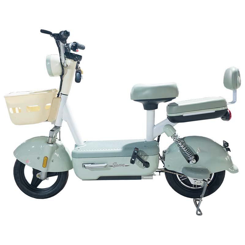 PP Hot selling 350W 30km/h front and rear double drum brake electric bicycle