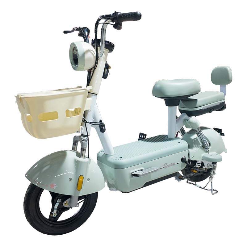 PP Hot selling 350W 30km/h front and rear double drum brake electric bicycle