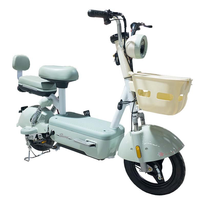 PP Hot selling 350W 30km/h front and rear double drum brake electric bicycle