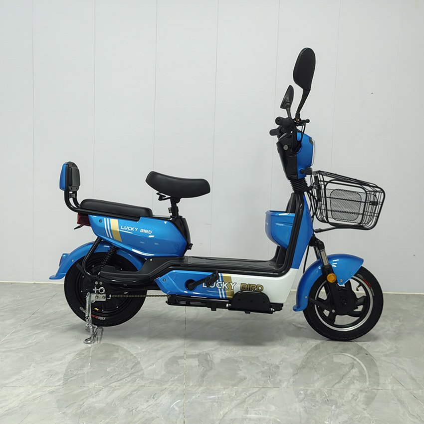 Factory Hot Sale With Rear Trunk Can Put Things in the Electric Bike Blue Bike Can Be Two Adult Electric Bike