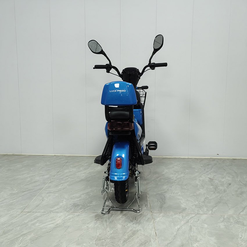 Factory Hot Sale With Rear Trunk Can Put Things in the Electric Bike Blue Bike Can Be Two Adult Electric Bike
