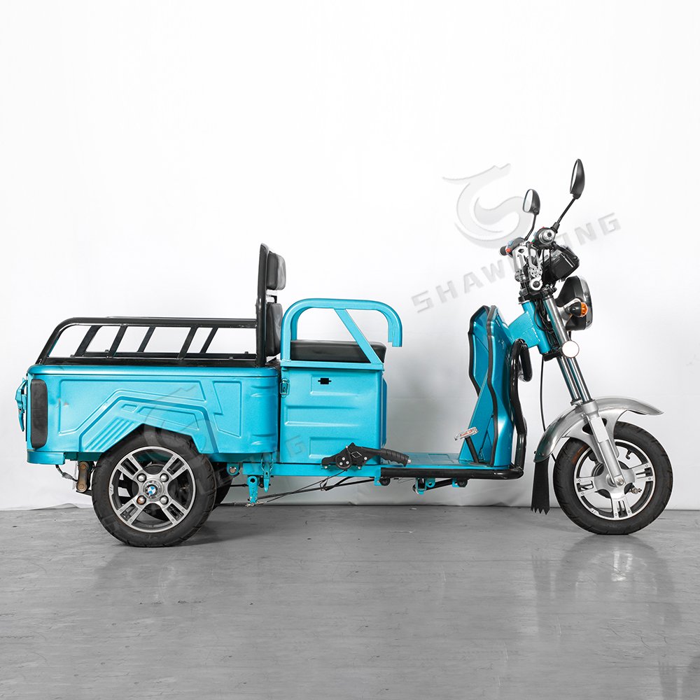 Electric Tricycle Motor Electric Scooter Tricycle E Cargo Bike LED India 48V 20ah 600W Sports 3 Wheel Motorcycle Taxi 3 Roues