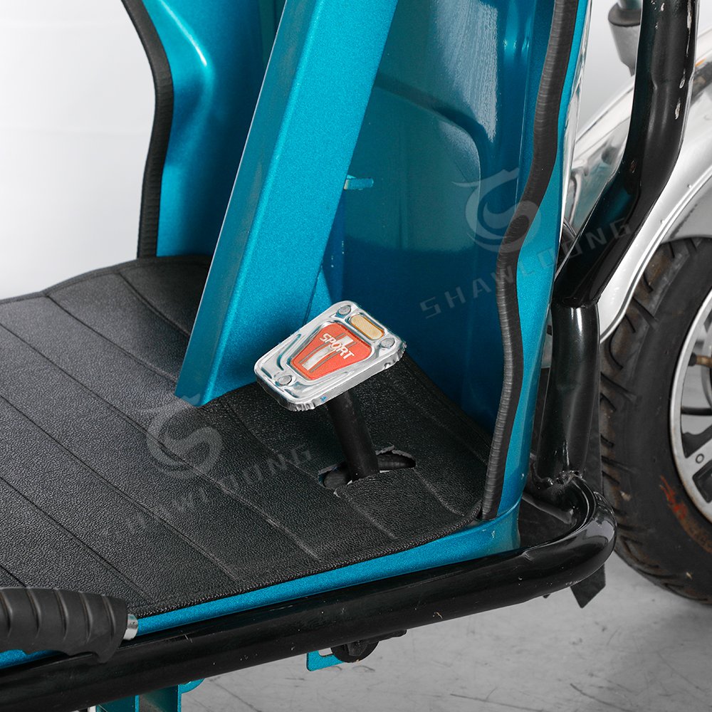 Electric Tricycle Motor Electric Scooter Tricycle E Cargo Bike LED India 48V 20ah 600W Sports 3 Wheel Motorcycle Taxi 3 Roues