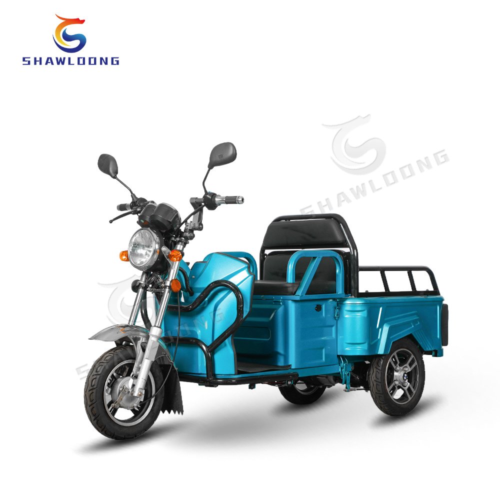 Electric Tricycle Motor Electric Scooter Tricycle E Cargo Bike LED India 48V 20ah 600W Sports 3 Wheel Motorcycle Taxi 3 Roues