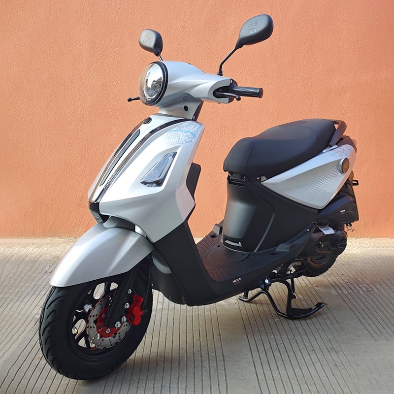 EEC Certified 50 &125cc Gasoline Motorcycle Max Speed 65km/h Front Disc Brake ECU Ignition Disc Brake Powerful Gas Moped on Road