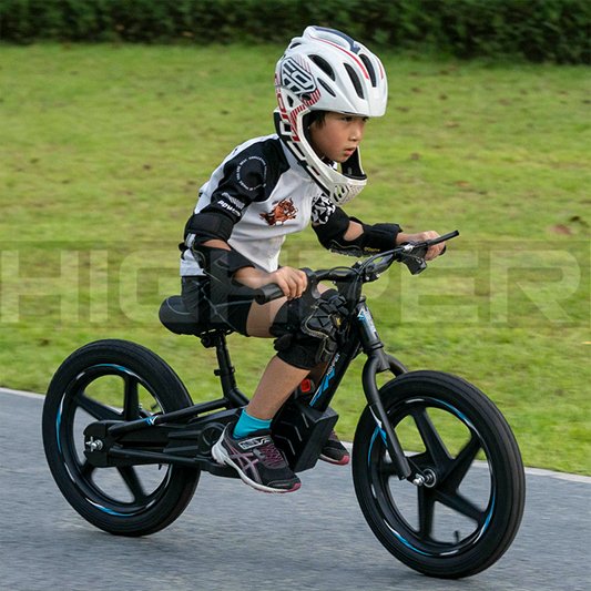 16 Inch Big Tire 250W 24v Electric No Pedal Balance Bike, Children's Toy Bike for Sale