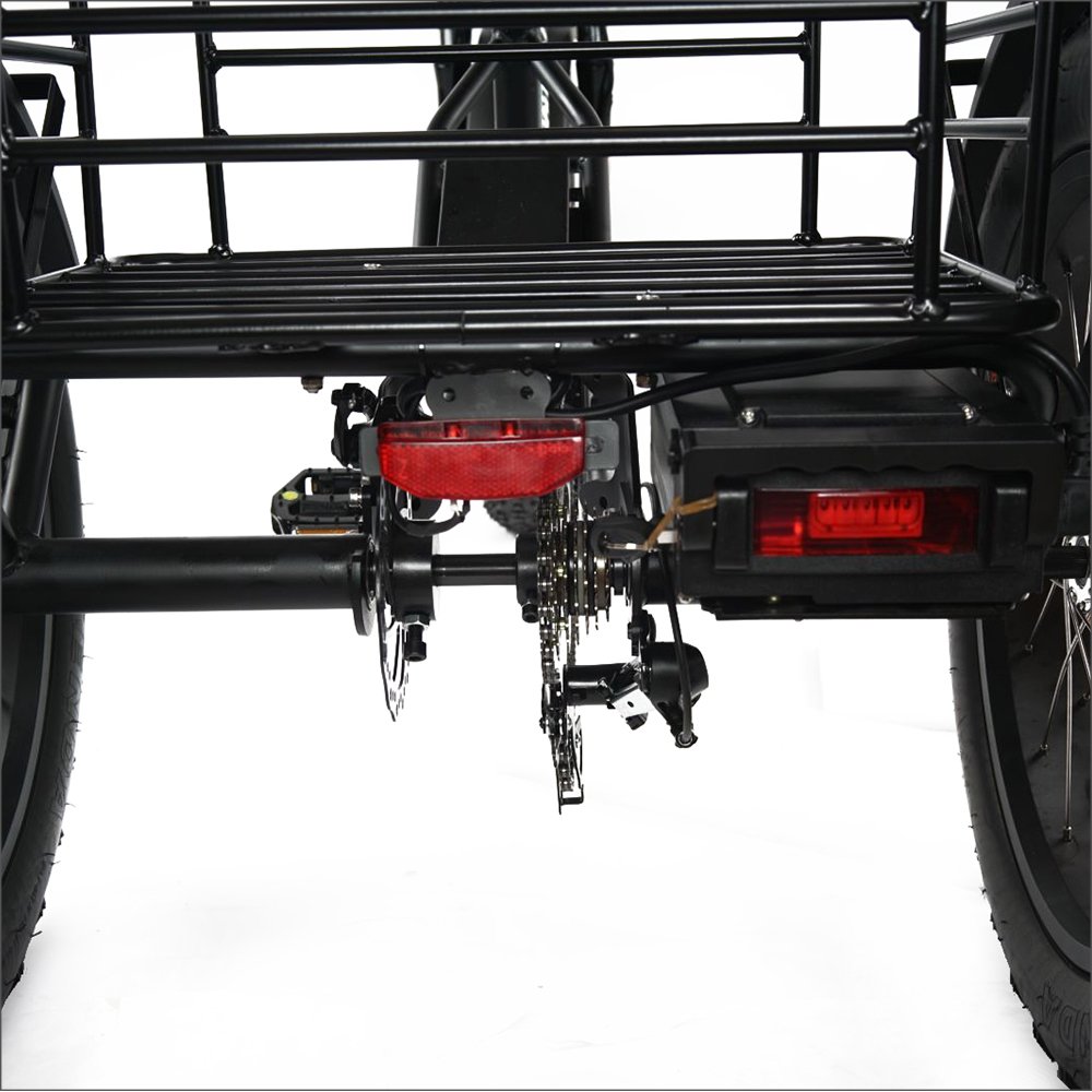 EZREAL Bafang Motor Electric Tricycle 750W 18.2Ah 48V 3 Wheel Electric Bicycle US Warehouse Stock Hot Sale Passenger Cargo DOT