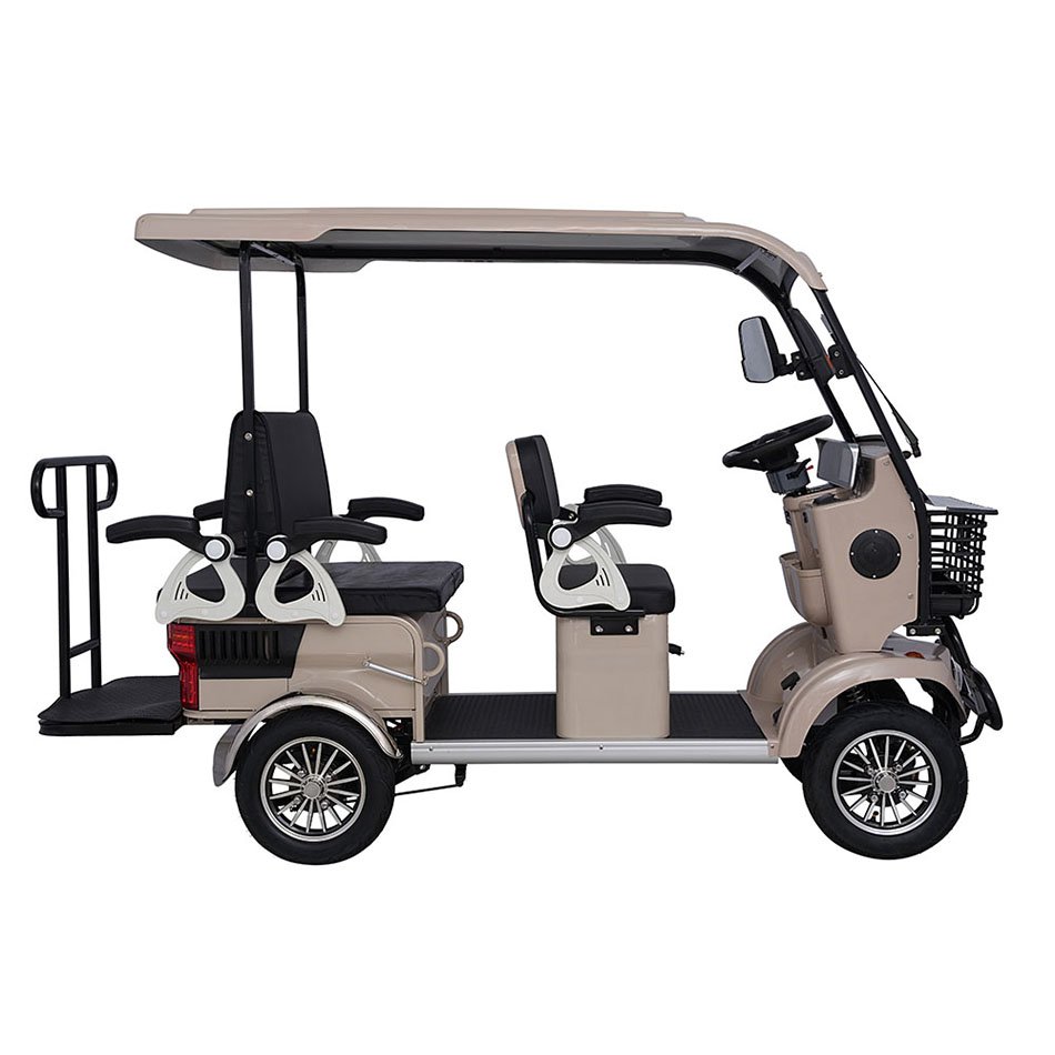 Factory Prices 800W Electric Tricycle
