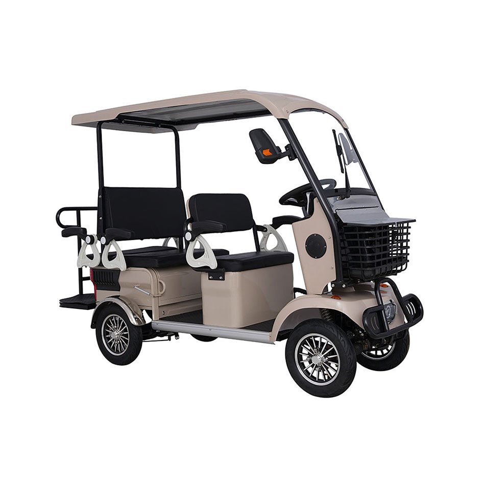 Factory Prices 800W Electric Tricycle