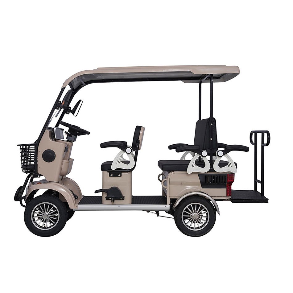 Factory Prices 800W Electric Tricycle