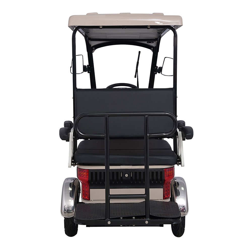 Factory Prices 800W Electric Tricycle
