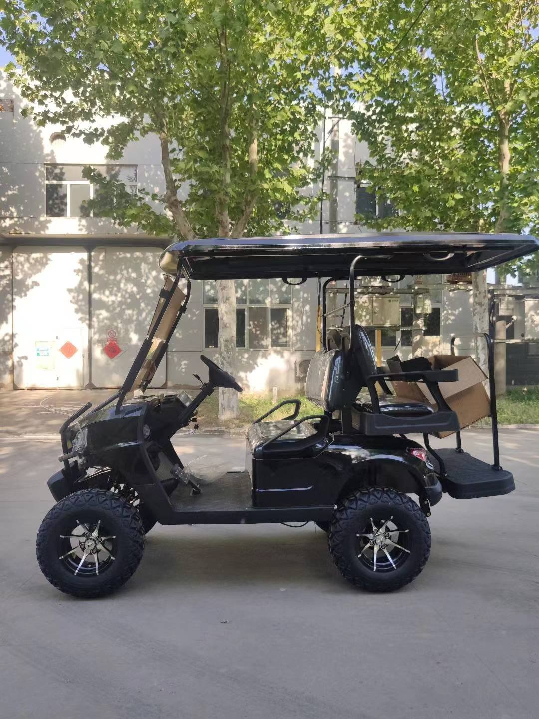 Cheap 2 or 4 or 6 Passenger Electric Utility Golf Cart for Sale for Promotion