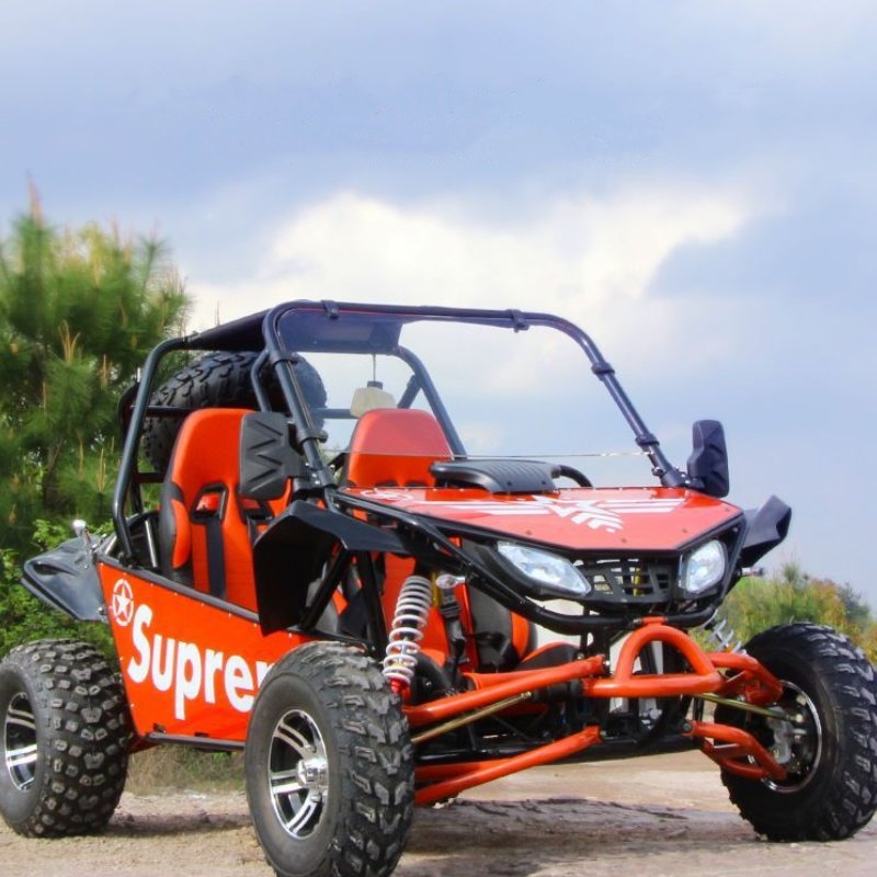 2 Seater Mini off Road Go Kart Gasoline Go Karts for Adults