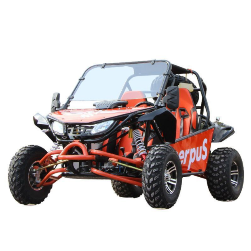 2 Seater Mini off Road Go Kart Gasoline Go Karts for Adults