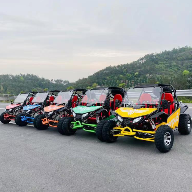 2 Seater Mini off Road Go Kart Gasoline Go Karts for Adults
