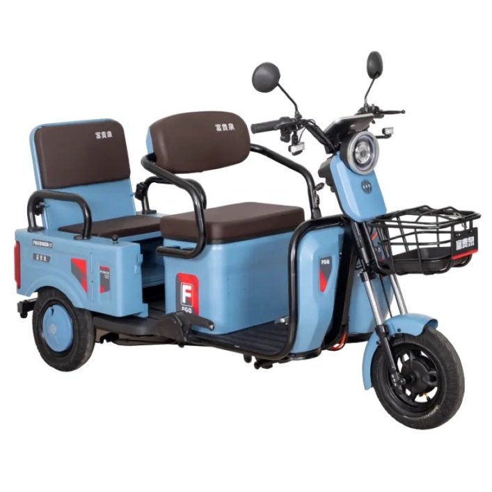 Hot Selling 60V Electric Tricycle High-Tech Motor with Vacuum Tire Open Body 48V500W Made in China