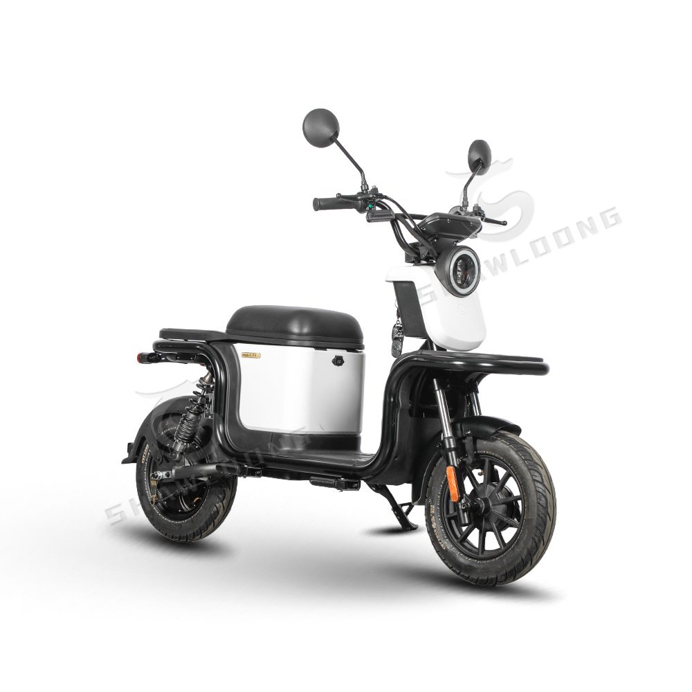 Best Quality 1200W Electric Fashion Adult Motorcycle 10 Inch Pedal EEC Certificate Cargo Passenger Use 1000W Wholesale Sale