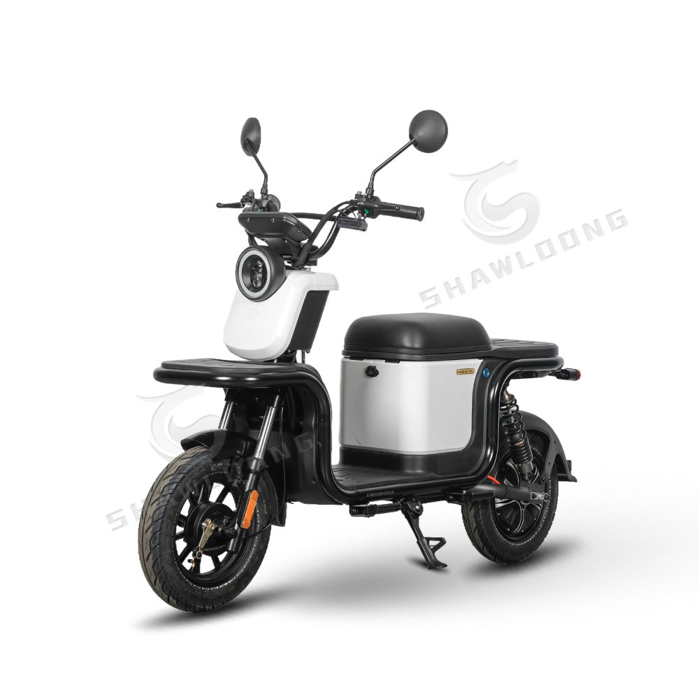 Best Quality 1200W Electric Fashion Adult Motorcycle 10 Inch Pedal EEC Certificate Cargo Passenger Use 1000W Wholesale Sale