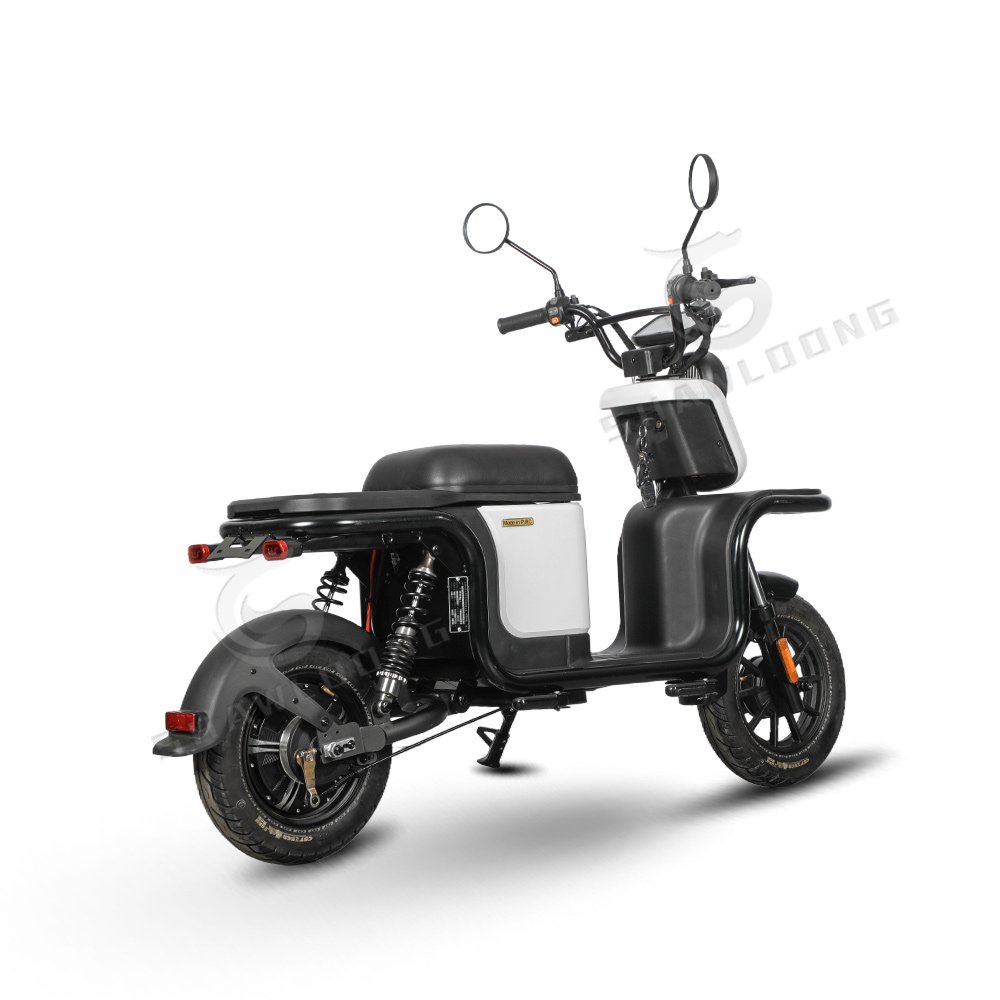 Best Quality 1200W Electric Fashion Adult Motorcycle 10 Inch Pedal EEC Certificate Cargo Passenger Use 1000W Wholesale Sale