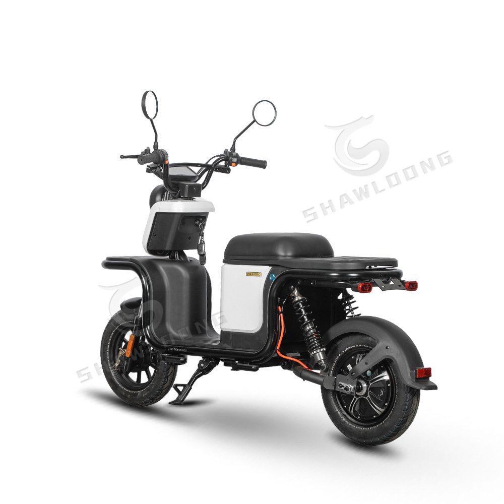 Best Quality 1200W Electric Fashion Adult Motorcycle 10 Inch Pedal EEC Certificate Cargo Passenger Use 1000W Wholesale Sale