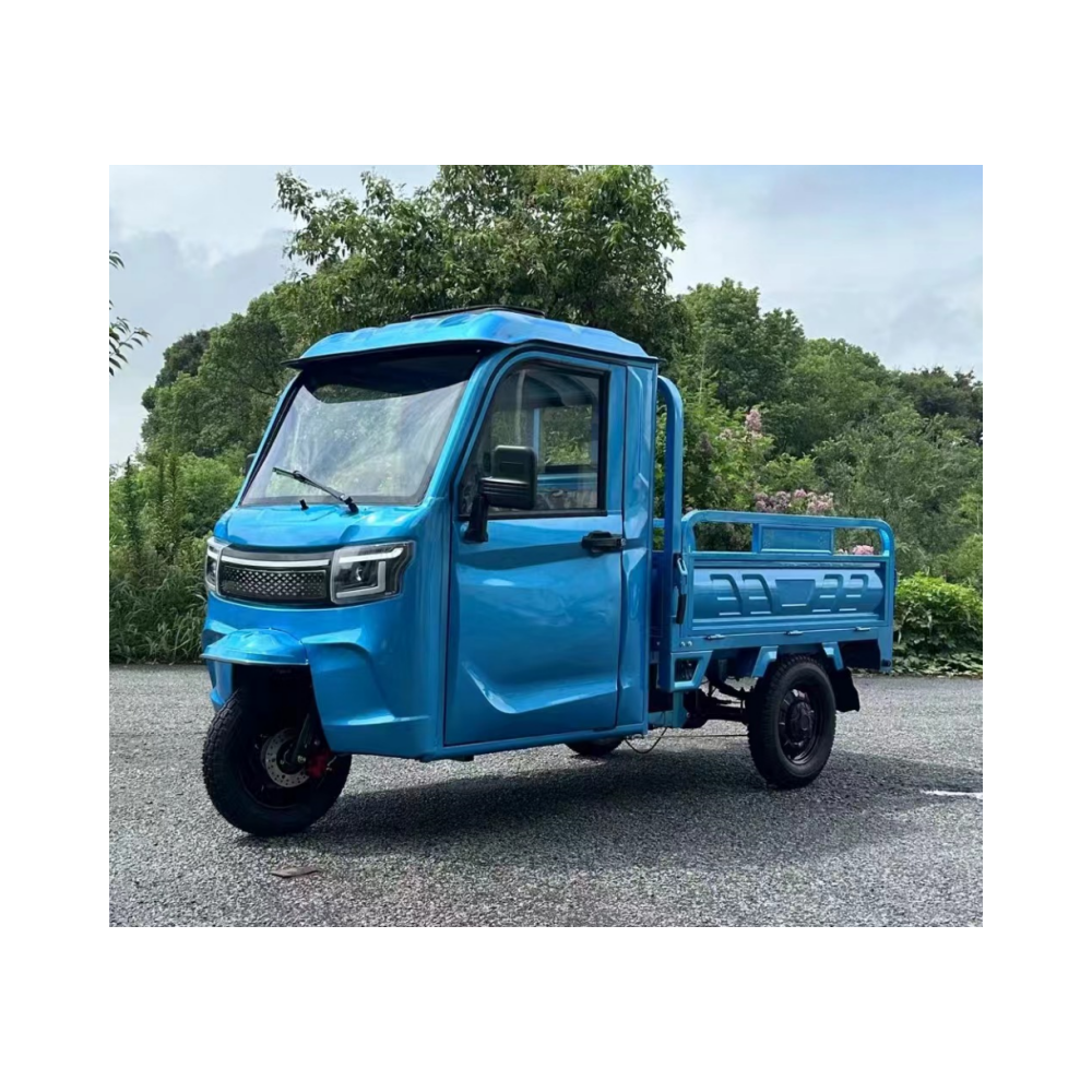 EEC Cargo Trike 3 Speed Transmission Full Closed Cab 2000w 3000w Heavy Duty Electric Tricycles in EU Market