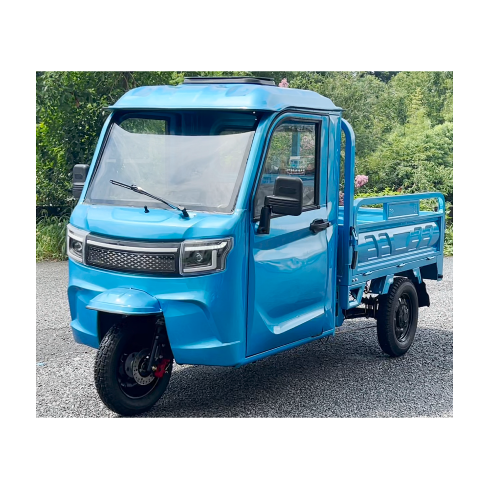 EEC Cargo Trike 3 Speed Transmission Full Closed Cab 2000w 3000w Heavy Duty Electric Tricycles in EU Market