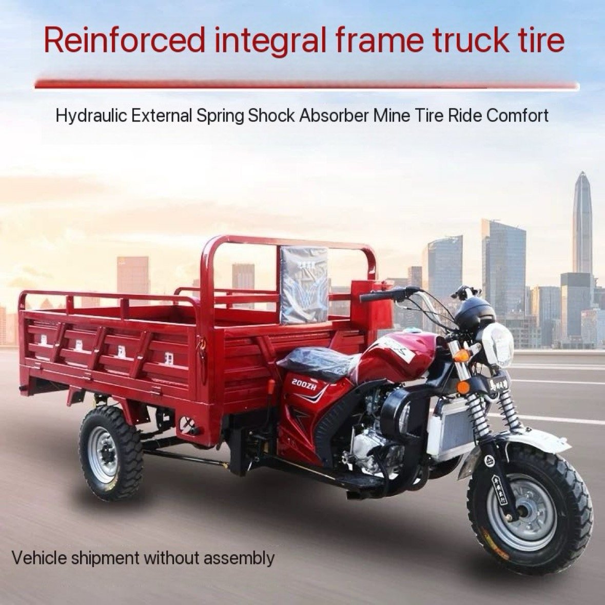 2025 High Quality Petrol Cargo Tricycle of High Security