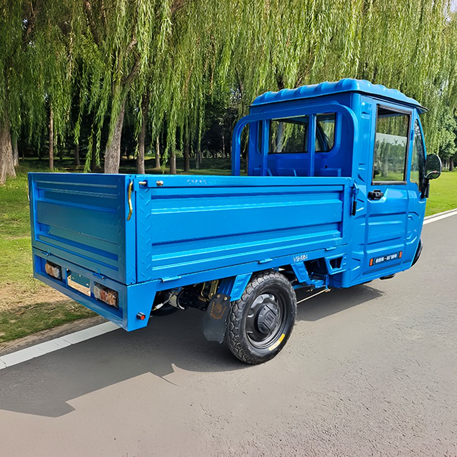 Brand New Cargo Three Wheel Motorcycle Triciclo Electrico Adulto