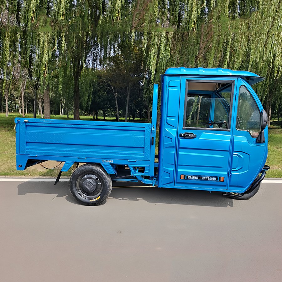 Brand New Cargo Three Wheel Motorcycle Triciclo Electrico Adulto