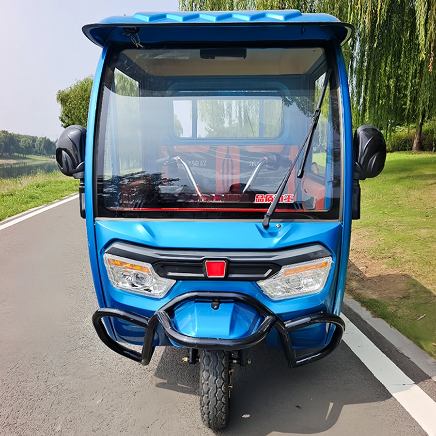 Brand New Cargo Three Wheel Motorcycle Triciclo Electrico Adulto