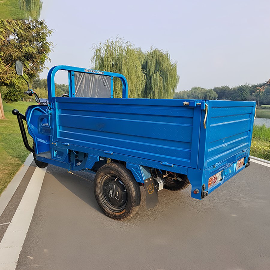 Brand New Cargo Three Wheel Motorcycle Triciclo Electrico Adulto