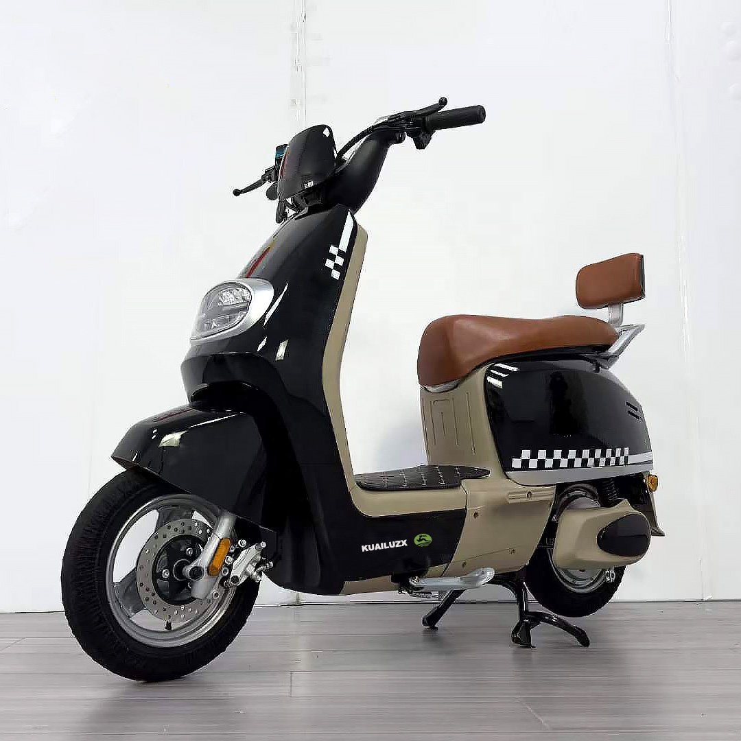 600W 800W 1000W New Model Electric Bicycle Two Seats Scooter Electric Bike Bicycle Motorcycle Electric Bike Electric Moped