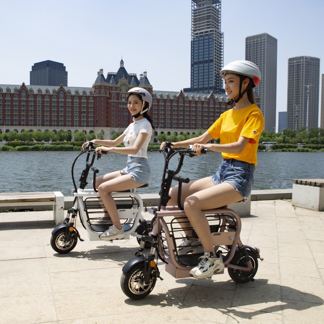 With Child Seat Foldable 48V 20Ah 400W Folding Fat Tire Adult Electric Bike Ebike Electric City Bicycle Electric Scooter