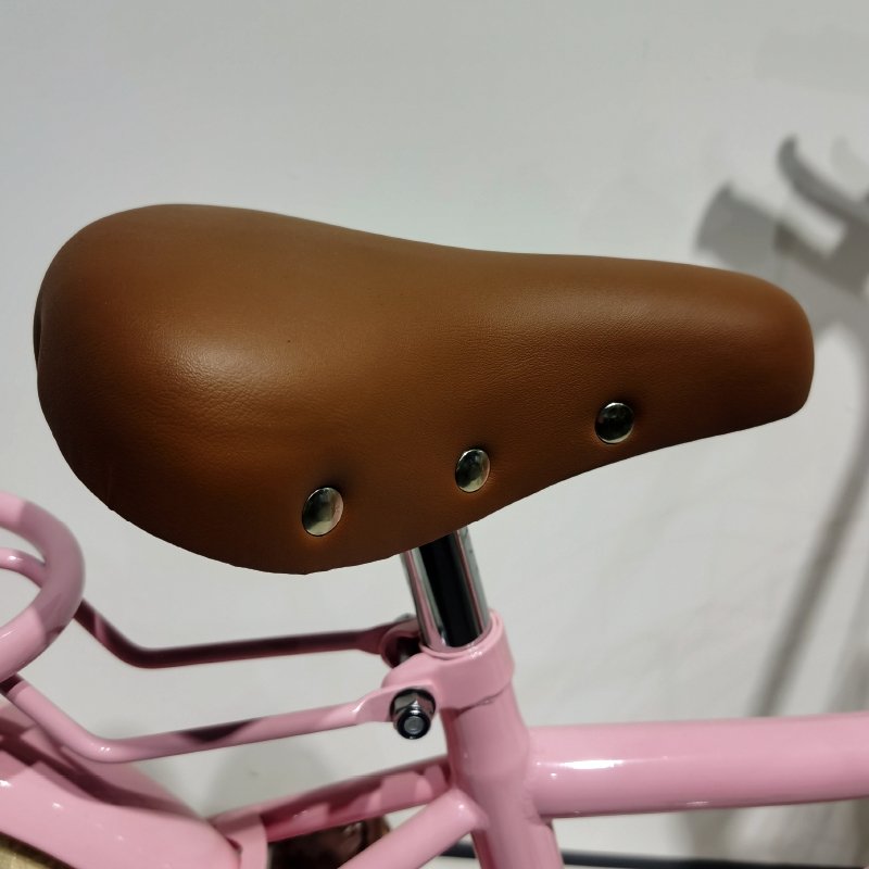 Factory Direct Sale Aluminum Alloy Kids Bike 20 Inch Kids Bike Unique Girls Bike