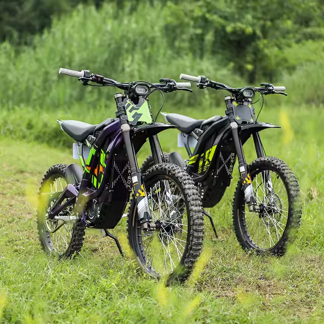 2024 Original Electric Dirt Bike 60v40ah Light Bee X 6000w 90km/h off Road Electric Bike