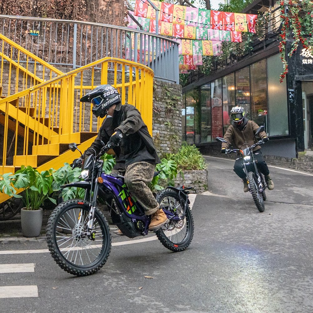 2024 Original Electric Dirt Bike 60v40ah Light Bee X 6000w 90km/h off Road Electric Bike