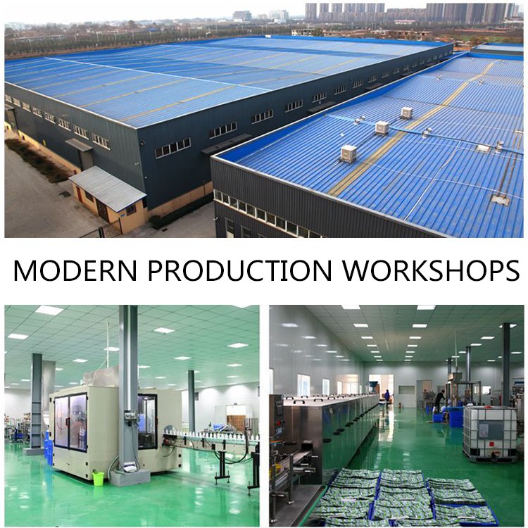 China Factory Cheap Price Dry Washing Cleaner for Clothes Coat Shoe Water Less Cleaner Spray