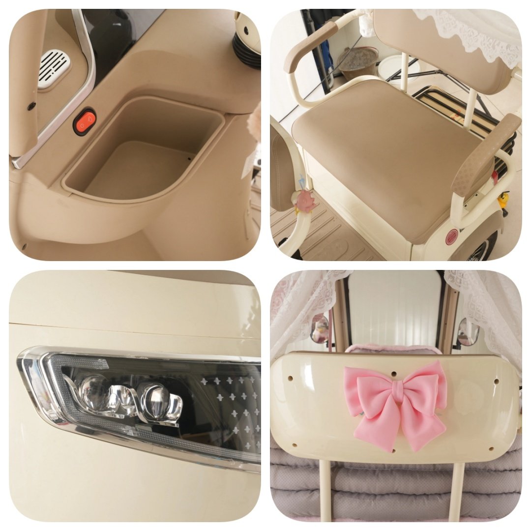 China 2024 Fashionable Electric Scooter Tricycle Low-Speed Seat Belt Passenger Seat and Canopy Motorcycle