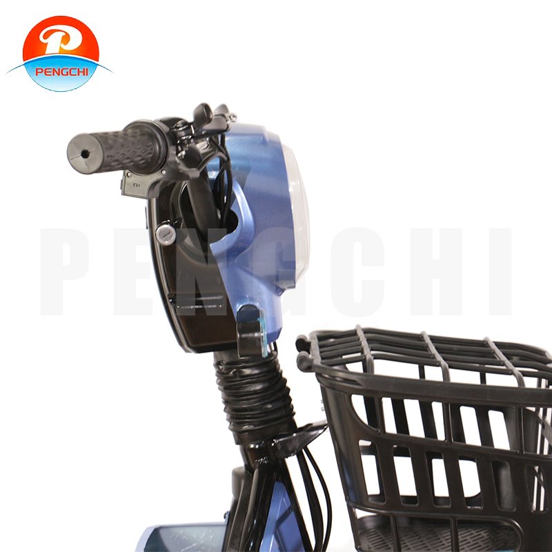 The City Leisure Electric Bicycles Sold Directly by the Manufacturer Are Equipped with Anti-theft Locks and Can Carry Passengers