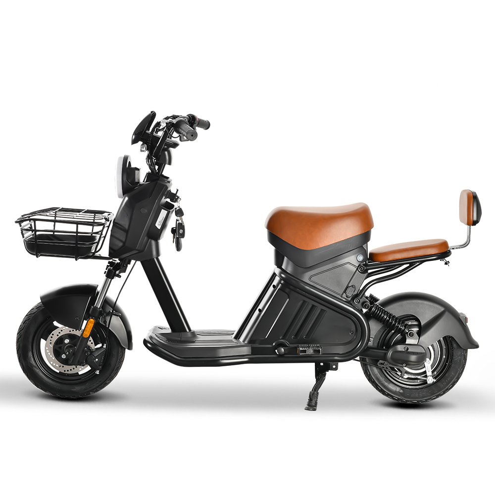2024 New Model 10 Inch Fat Tire E Cycle E Bike/48v 350w 500w 800w 1000w Electric Bike Bicycle