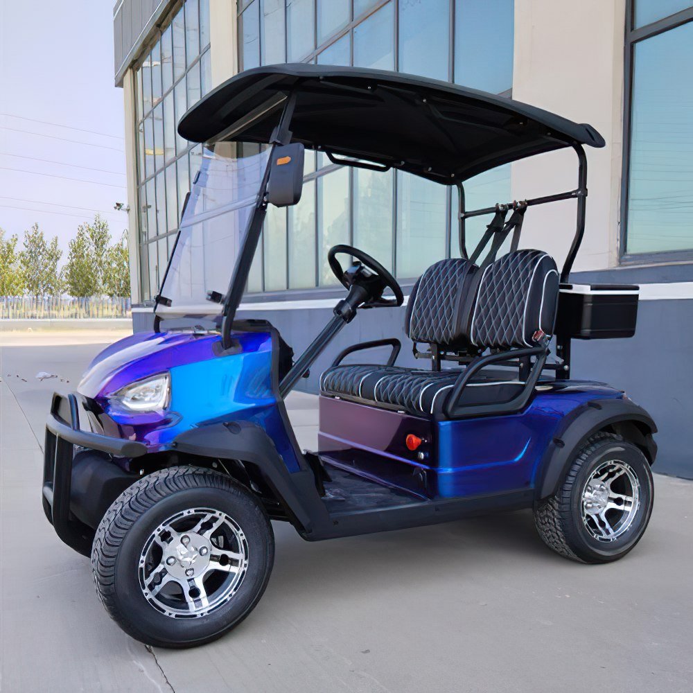 Hot Sale China Manufacture Quality 6 Seater Street Legal Mini Buggy 72V Lithium 10 Steering Rack Prices and Price