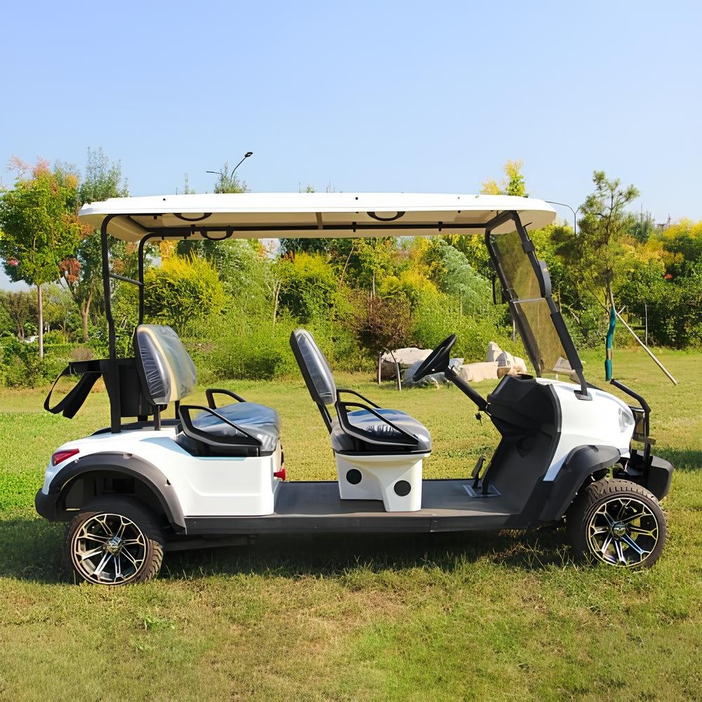 Hot Sale China Manufacture Quality 6 Seater Street Legal Mini Buggy 72V Lithium 10 Steering Rack Prices and Price