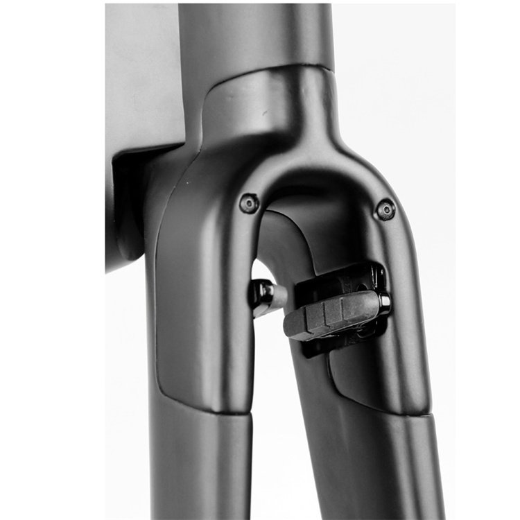 OEM Integrated Frame Aerodynamic Triathlon Carbon Frame TT Carbon Frame Only 1.8KG
