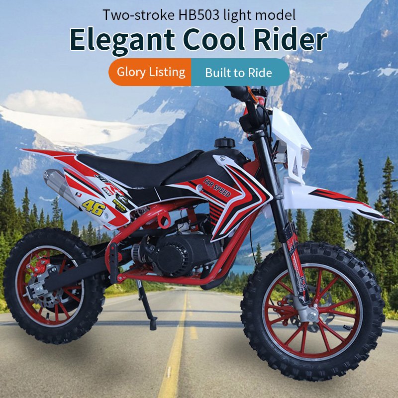 Customized Hand-Pulled Starter 49cc 50cc Kids Dirt Bikes Mini 2 Stroke 4 Stroke Dirt Bike