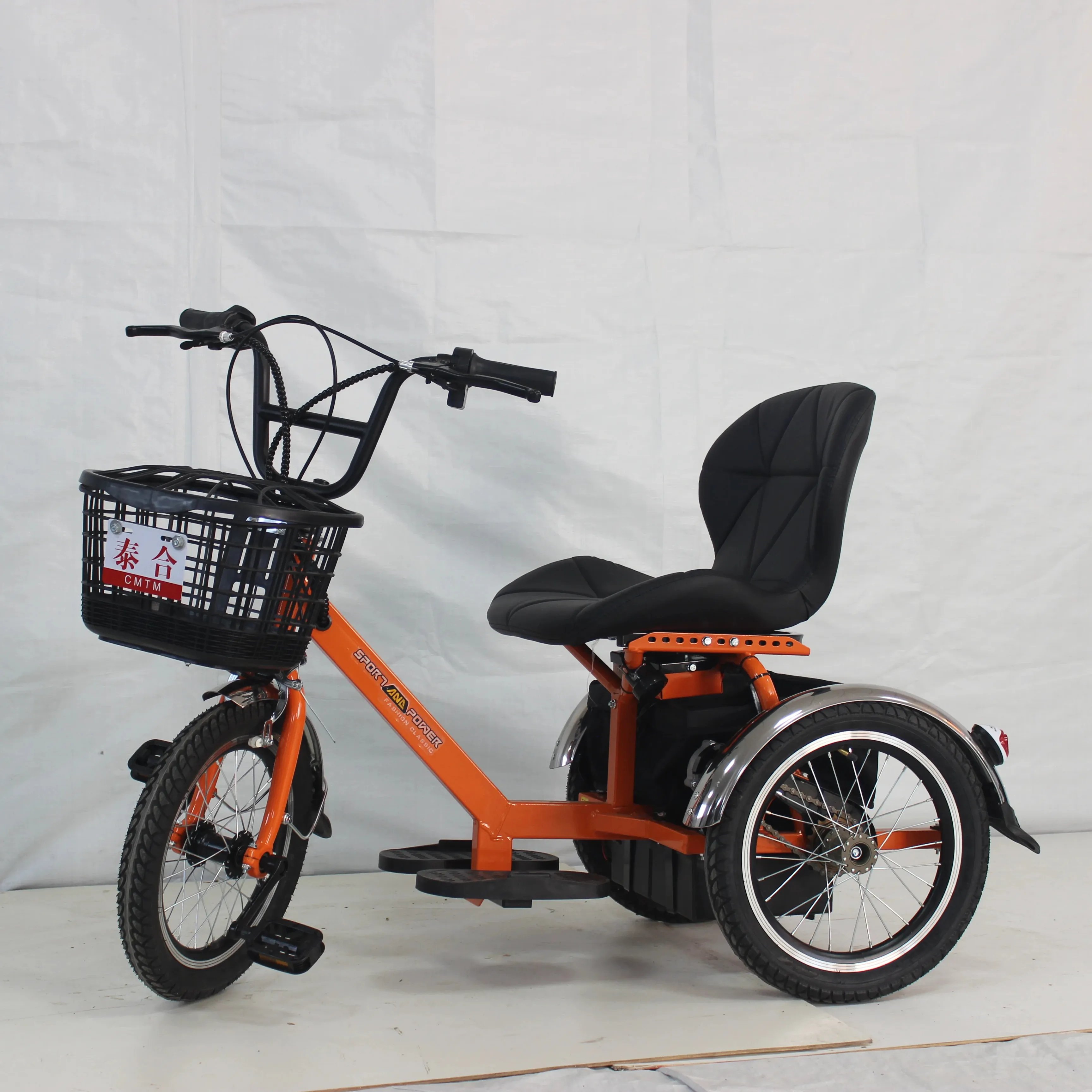 Electric Tricycle Fat Tire 3 Wheel Electric Bicycle Cargo Mid Double Battery Electric Trike Pedal Dual-purpose Three-wheel