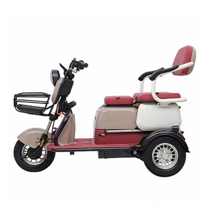 Cheaper Electric Tricycle 3 Wheels Electric Bike with High Quality