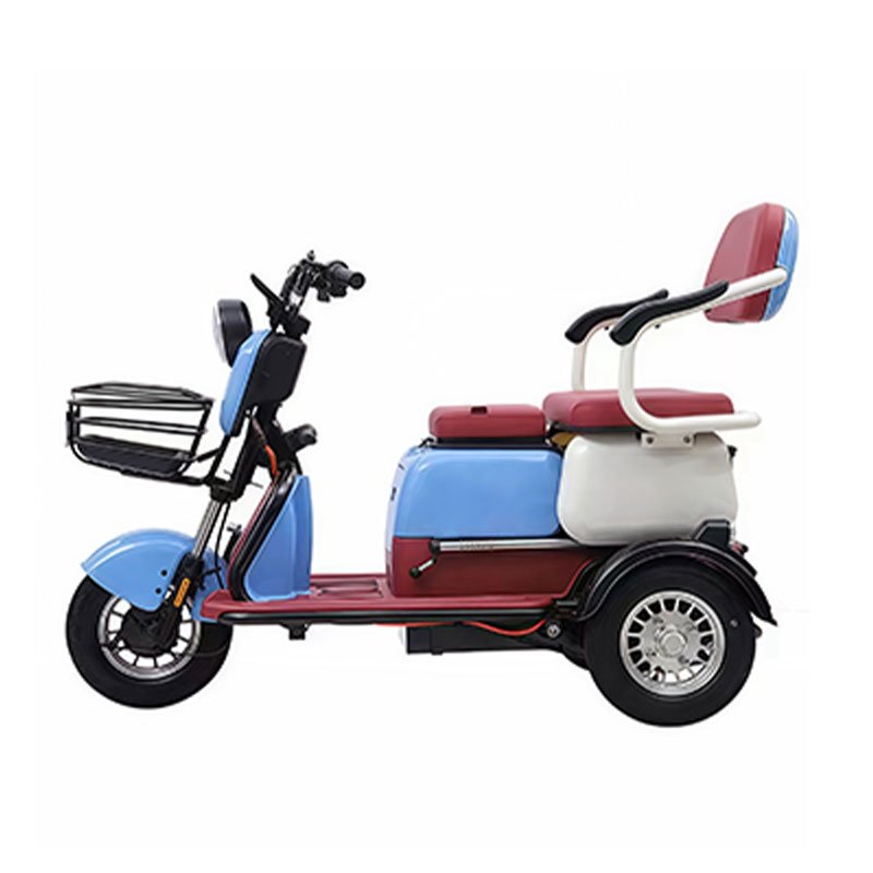 Cheaper Electric Tricycle 3 Wheels Electric Bike with High Quality