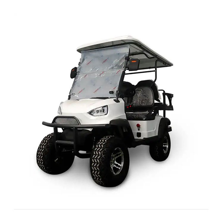 Newest Hot Sale 6 Seater Street Legal Mini Buggy 72V Lithium 10 Steering Rack Prices and Price