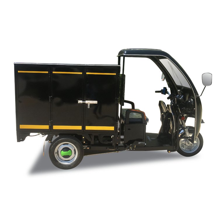 Electric Tricycle for Parcel Delivery Express Industry 800W Cargo Electric Tricycle