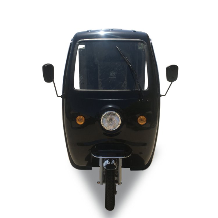 Electric Tricycle for Parcel Delivery Express Industry 800W Cargo Electric Tricycle